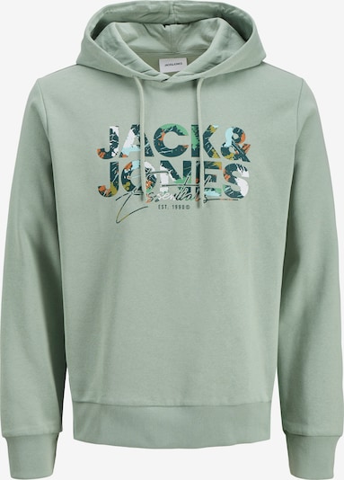 Megztinis be užsegimo 'JJGeplas' iš JACK & JONES, spalva – tamsiai žalia / šviesiai žalia / omarų spalva / balta, Prekių apžvalga