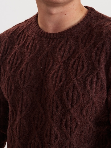 Dxnmxrk Pullover 'DXDiego' in Braun