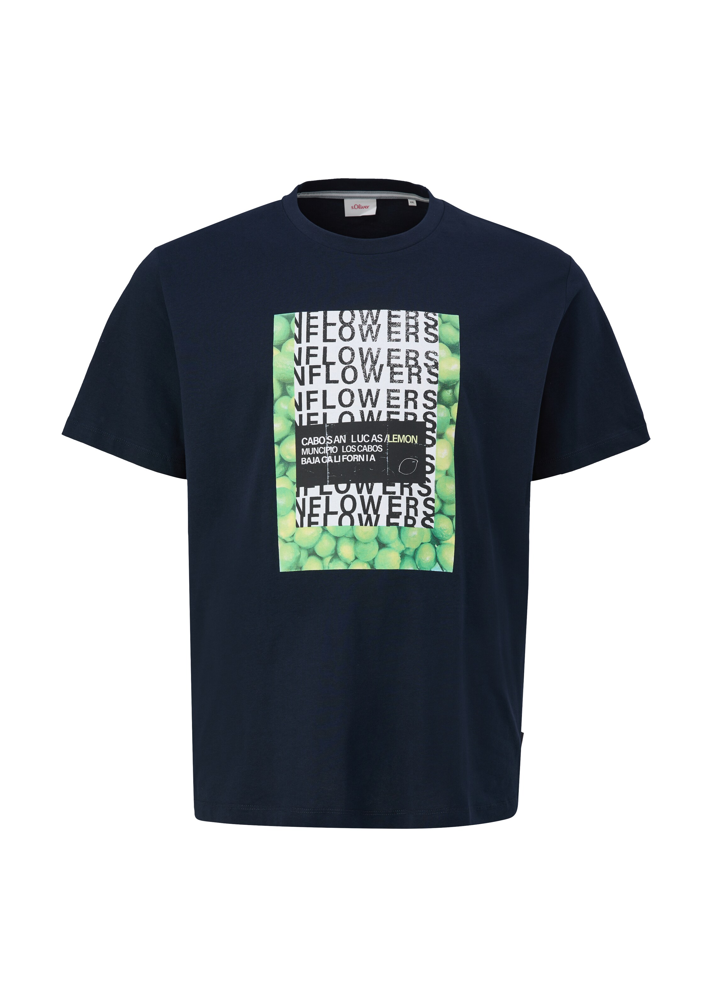 s.Oliver Men Big Sizes Shirt in Blue: front
