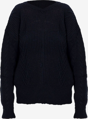 mėlyna Dandalo Kardiganas: priekis