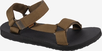 Sandales de randonnée 'Original Universal' TEVA en marron : devant