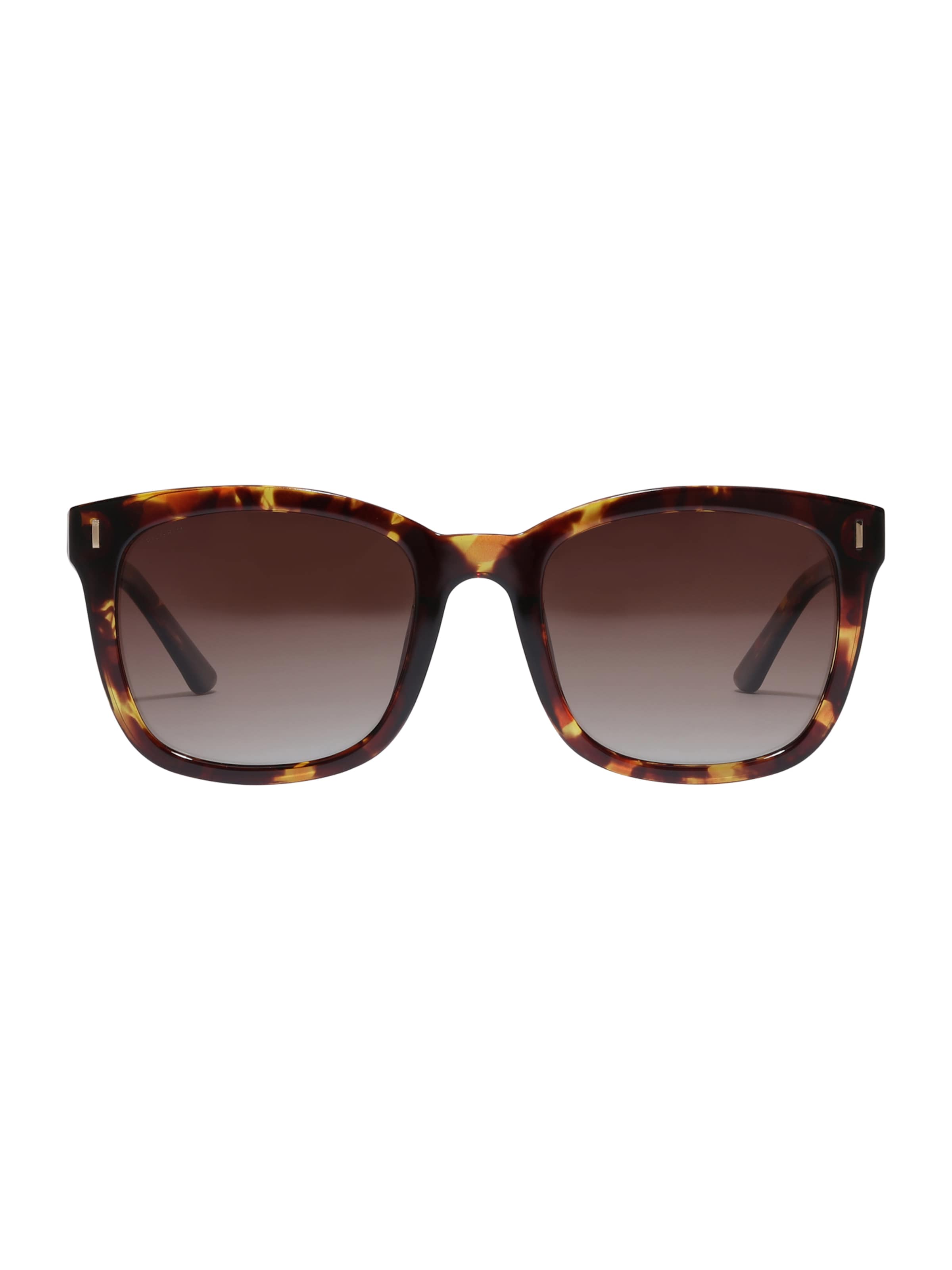 Pilgrim Sunglasses 'KATYA' in Brown