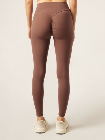 CALZEDONIA Regular Hose in Braun