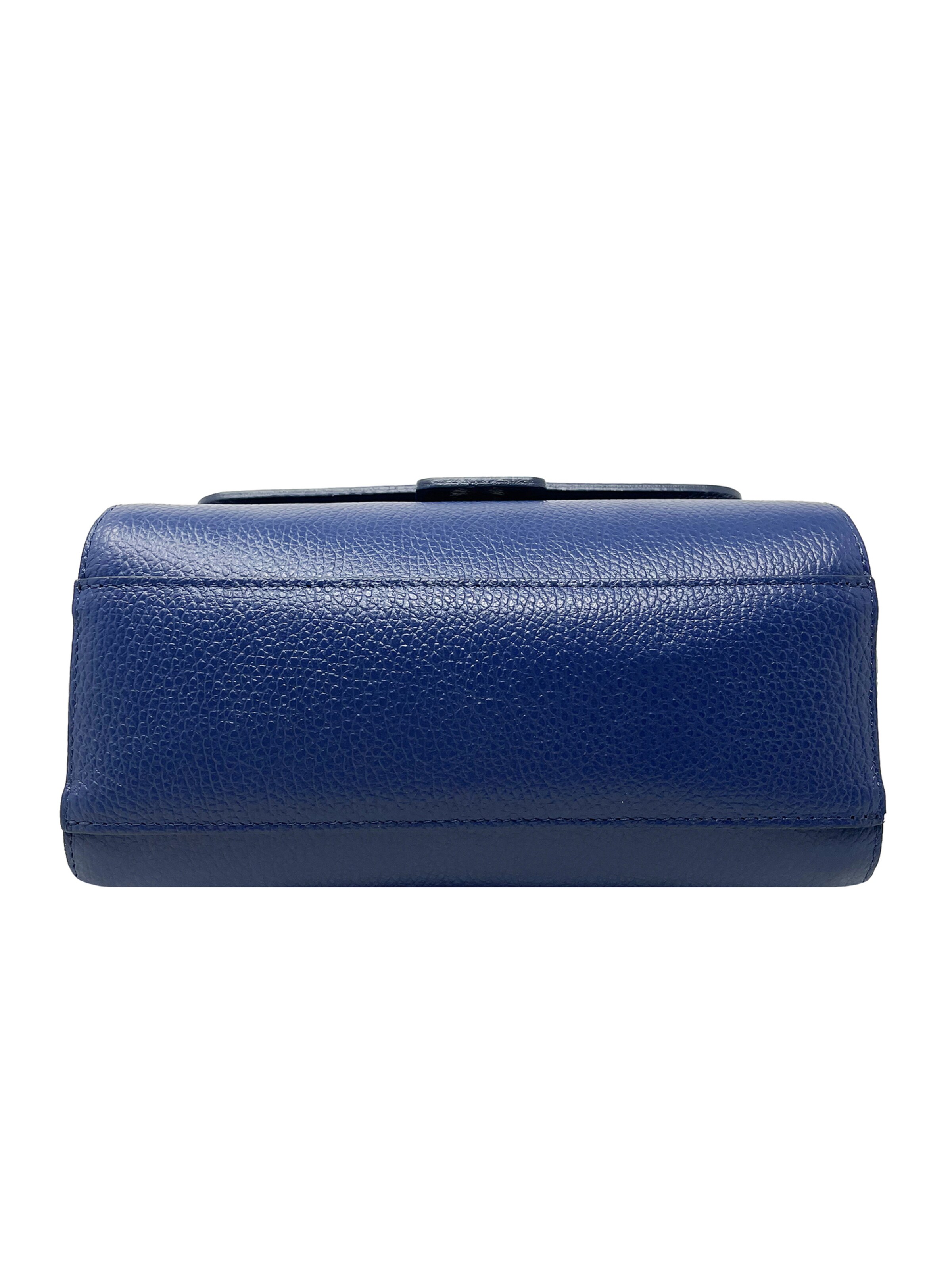 CHICCA BORSE Handbag in Blue