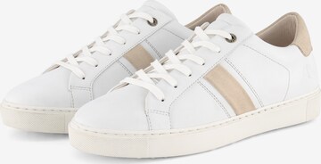 NoGRZ Sneakers in White