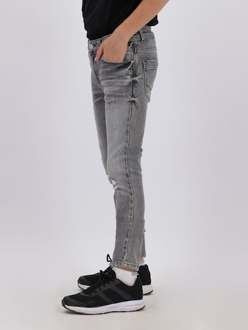 LTB Regular Jeans 'Rafiel' in Grijs