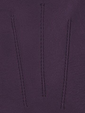 KESSLER Fingerhandschuhe‌‌‌‌‌‌‌‌ in Lila
