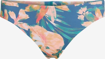 O'NEILL Bikinihose 'Maoi' in Blau: Vorderseite