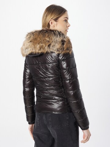 Veste d’hiver 'FUJI' Superdry en marron