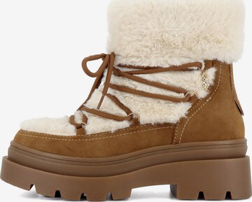 Bottines à lacets 'Shona' US POLO ASSN. en marron : devant