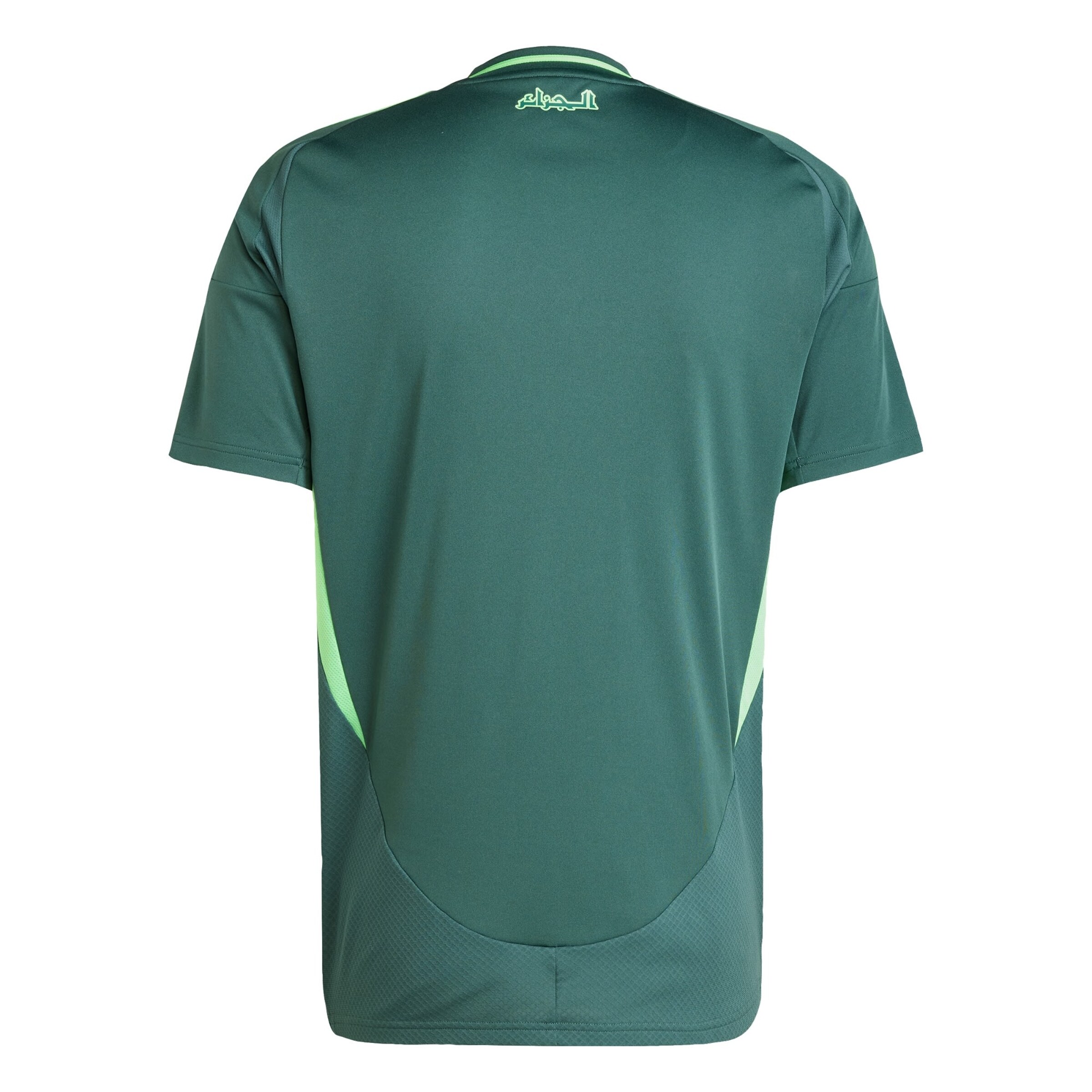 ADIDAS PERFORMANCE Performance shirt 'Algerien 24' in Green
