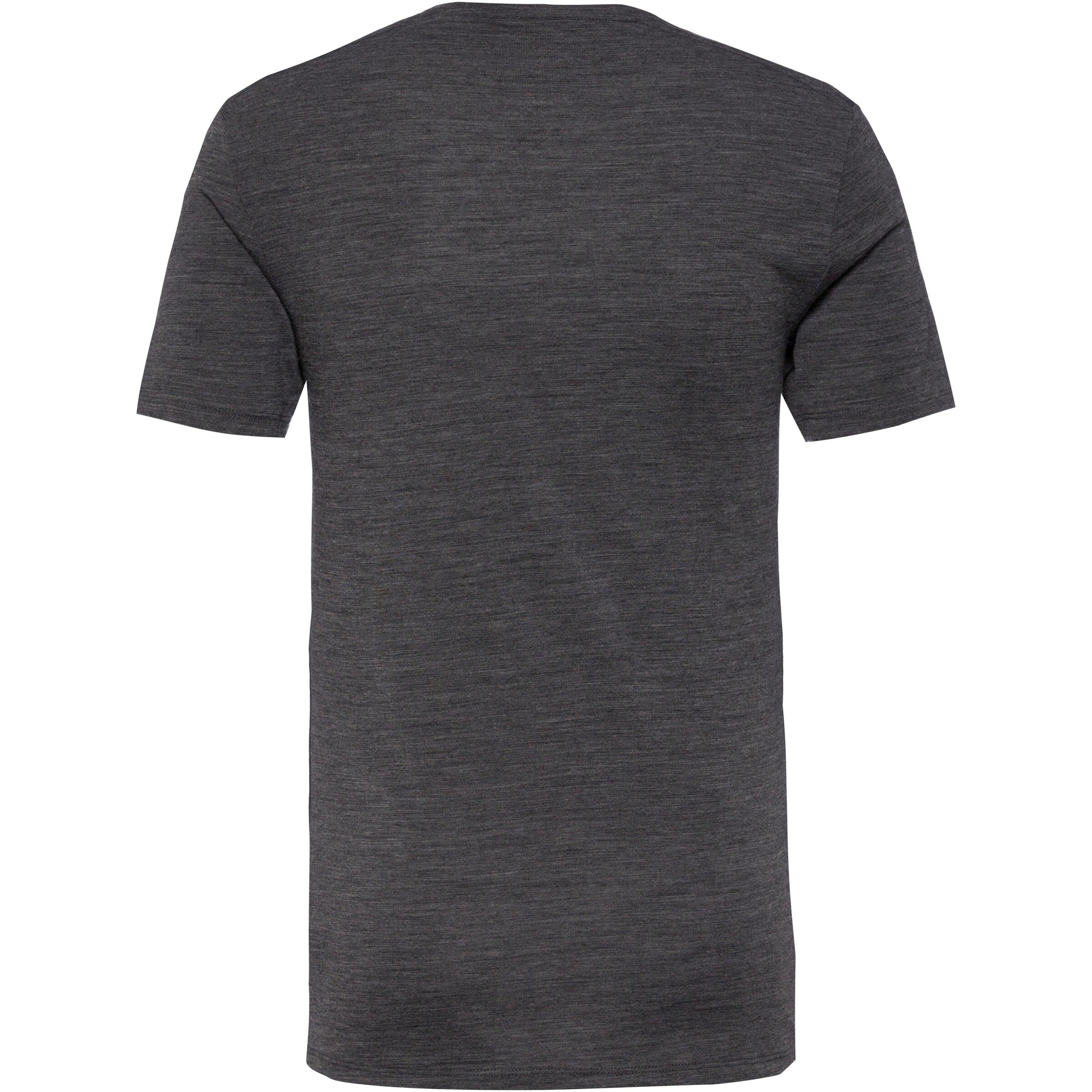 ICEBREAKER Performance Shirt 'Anatomica' in Grey