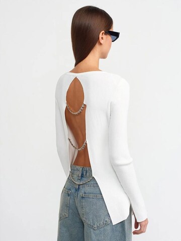 Pullover 'Pullover' di Dilvin in bianco