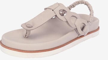 Crickit T-Bar Sandals in Beige: front