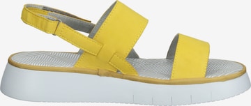 FLY LONDON Strap Sandals in Yellow