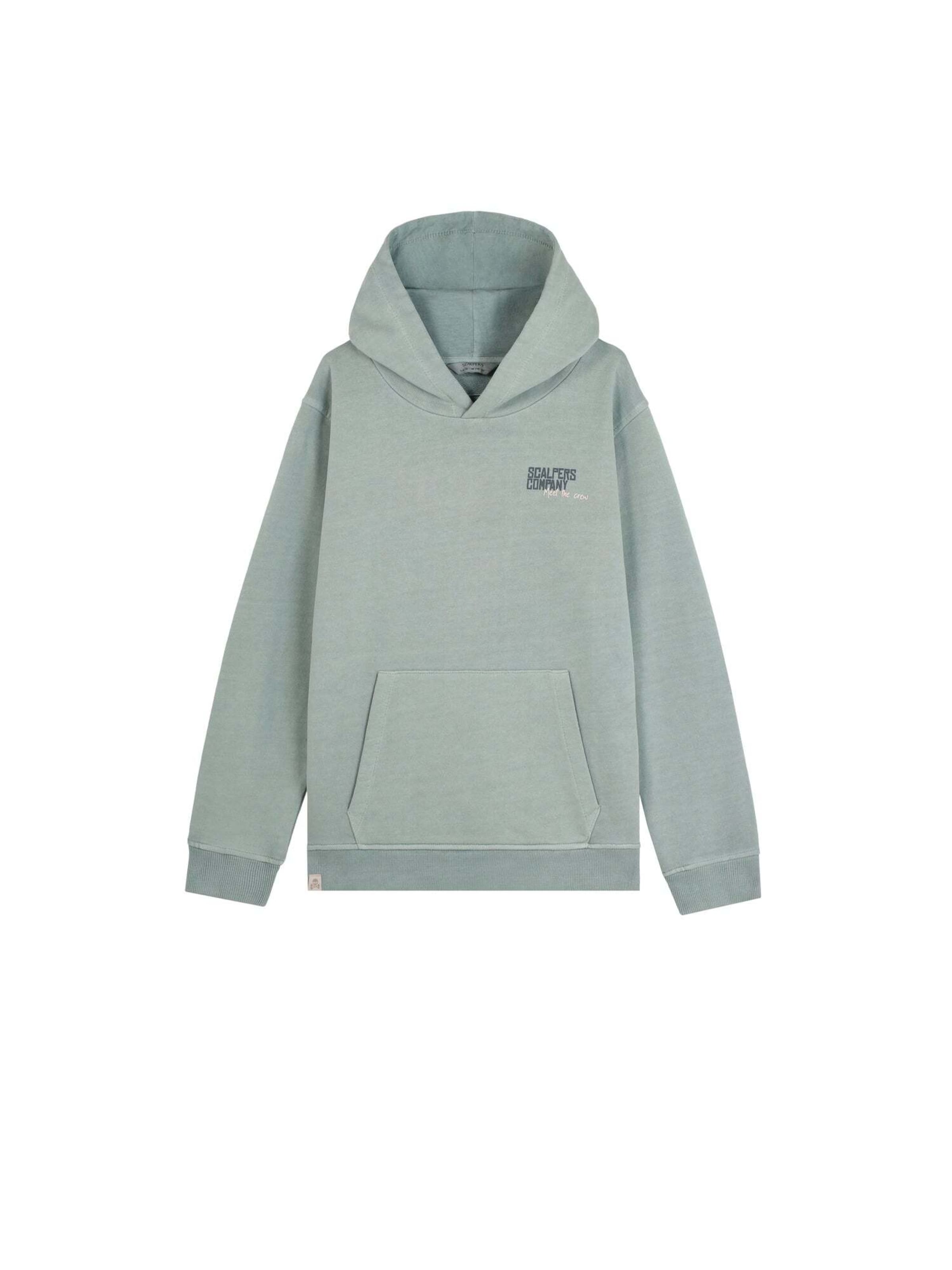 Scalpers Sweatshirt 'Typeskull' i grøn: forside