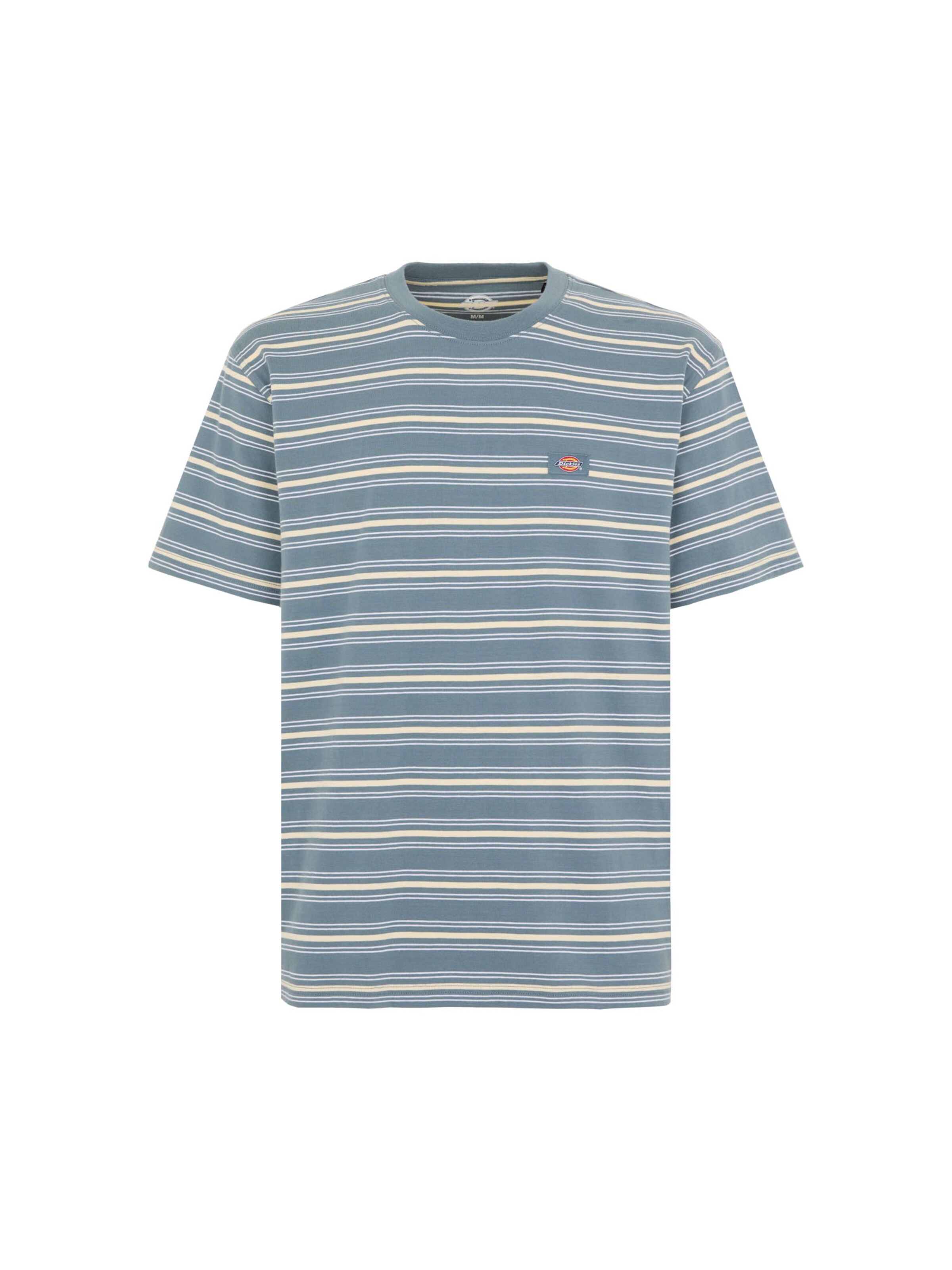 pelēks DICKIES T-Krekls 'Lewistown': no priekšpuses