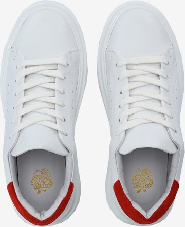 Apple of Eden Sneakers ' SAMIR ' in White