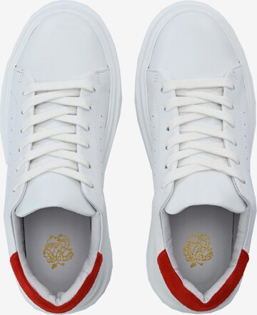 Baskets basses ' SAMIR ' Apple of Eden en blanc