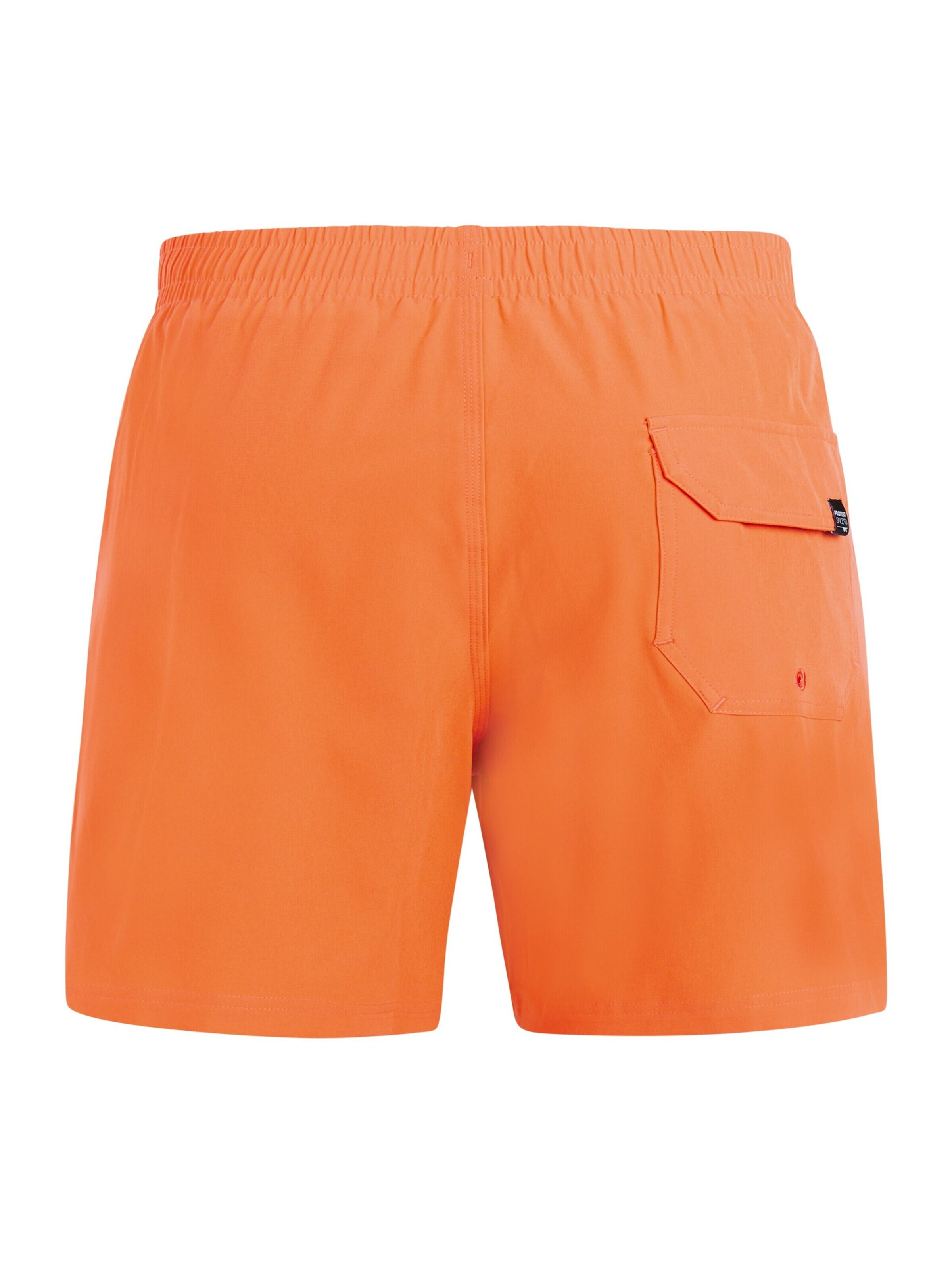 PROTEST Board Shorts 'PRTIgapo' in Purple