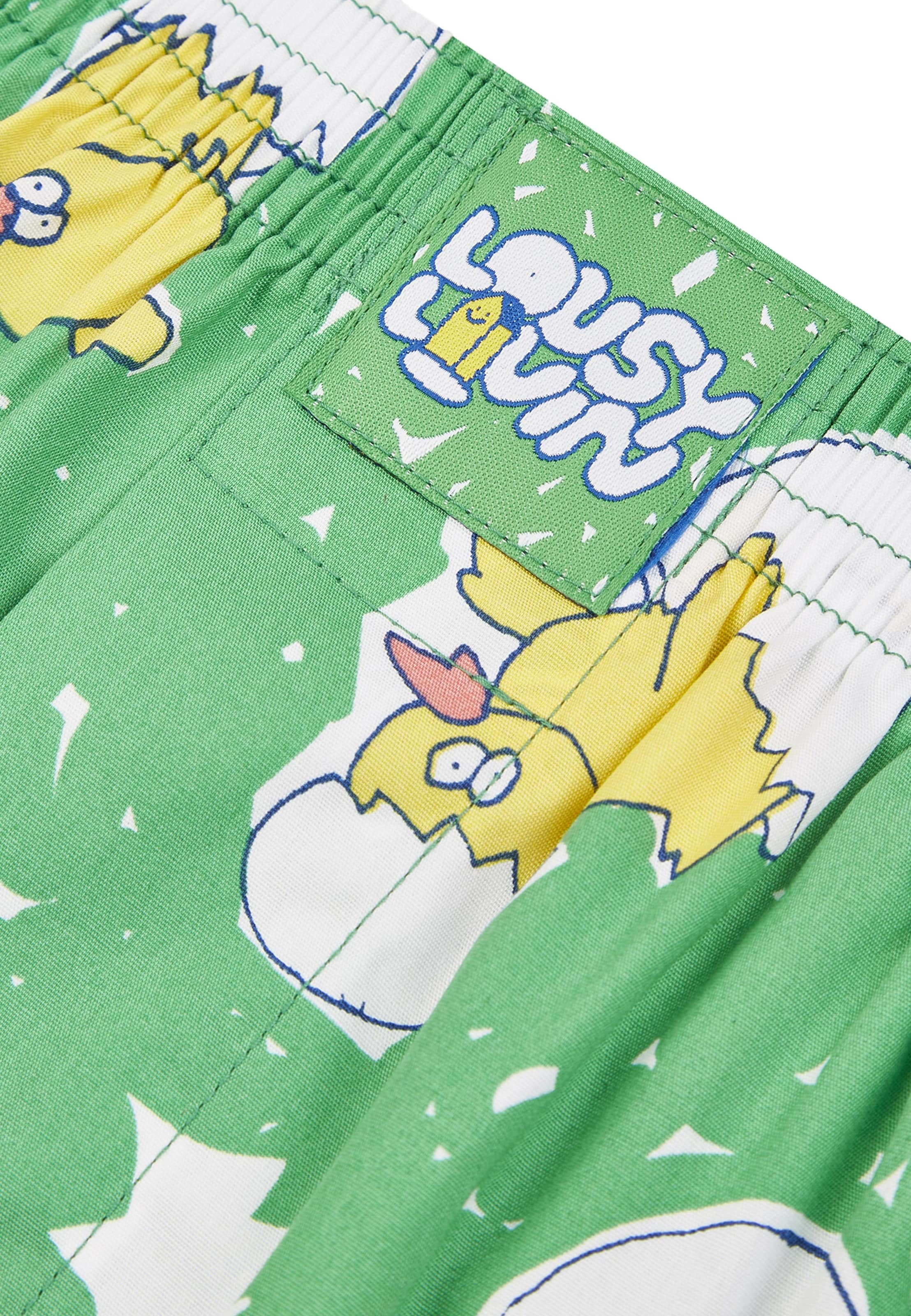 Lousy Livin Boxershorts in Groen
