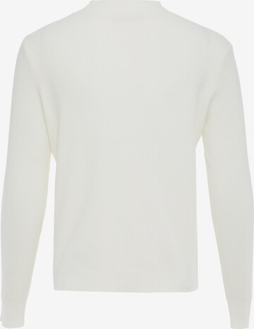 paino Sweater in White