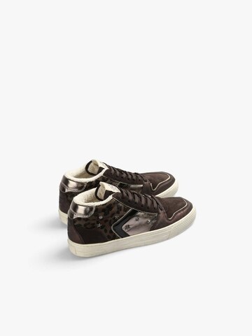 Scalpers Låg sneaker 'Felishu' i brun