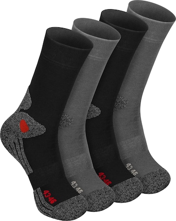 celodoro Athletic Socks 'Trekking Exclusive' in Grey: front