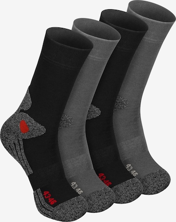 celodoro Athletic Socks 'Trekking Exclusive' in Grey: front