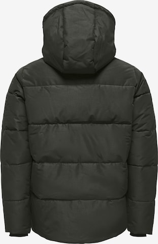 Only & Sons Winter Jacket 'Carl' in Green
