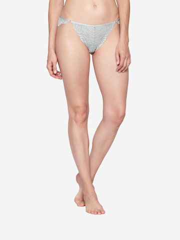 Slip ' Charming ' JOOP! en gris : devant