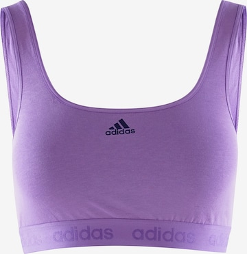 ADIDAS SPORTSWEAR Bralette Sports Bra ' CROP BRA ' in Purple: front