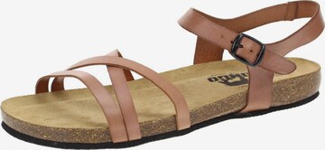 Longo Strap Sandals in Brown: front