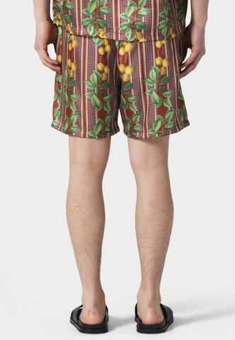 Regular Pantalon 'Fruits Cuban' Pas De Monaco en marron