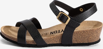 juoda Bayton Sandalai 'CANBERRA': priekis