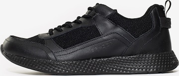 Sneaker bassa di Spyder in nero: frontale