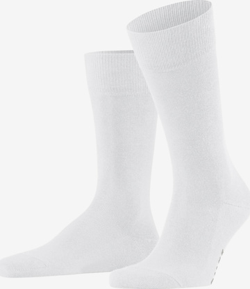 FALKE Socks 'Family' in White: front