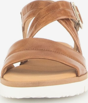 GABOR Strap Sandals in Brown