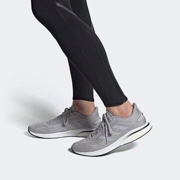 Baskets basses ADIDAS SPORTSWEAR en gris