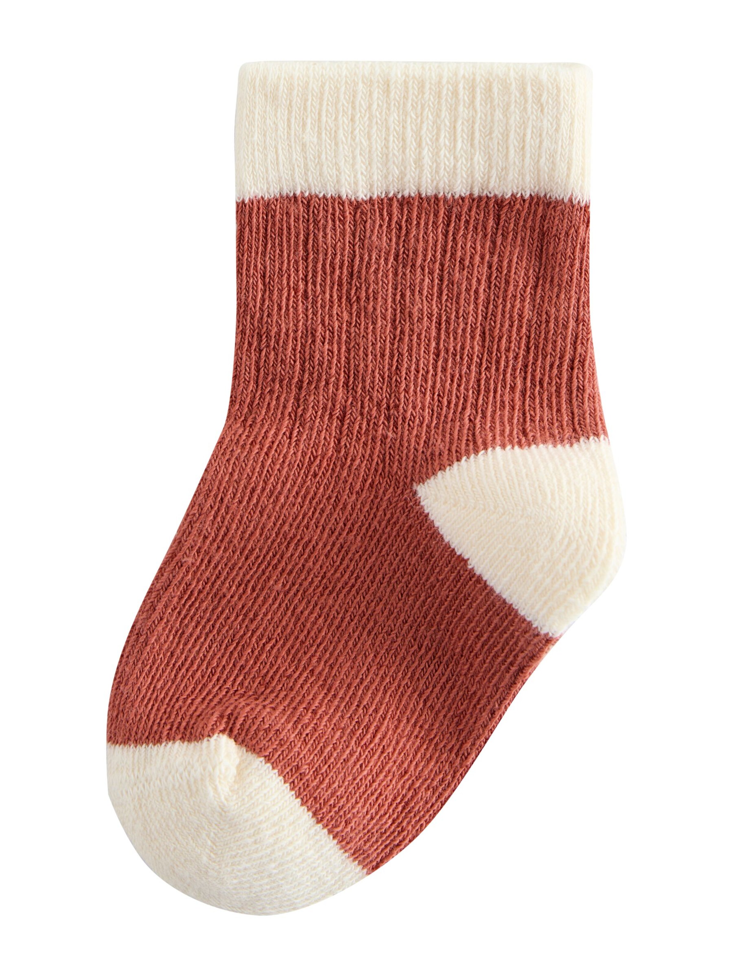 Next Socken in Mischfarben