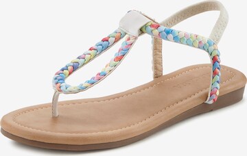 LASCANA Teenslipper in Beige: voorkant