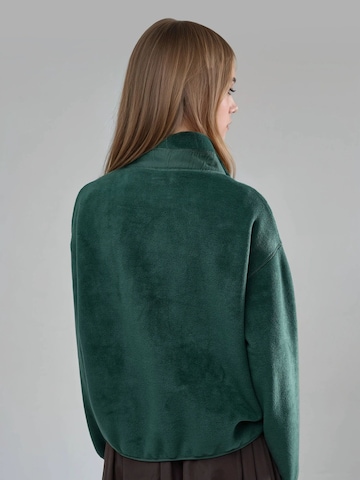 Pullover di Busem in verde