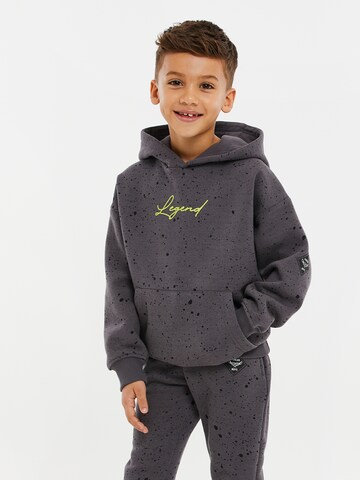 Threadboys Sweatshirt 'Minnesota' in Grijs: voorkant