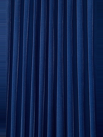 Touche Prive Skirt in Blue