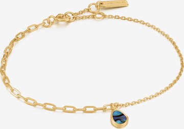 ANIA HAIE Bracelet in Gold: front