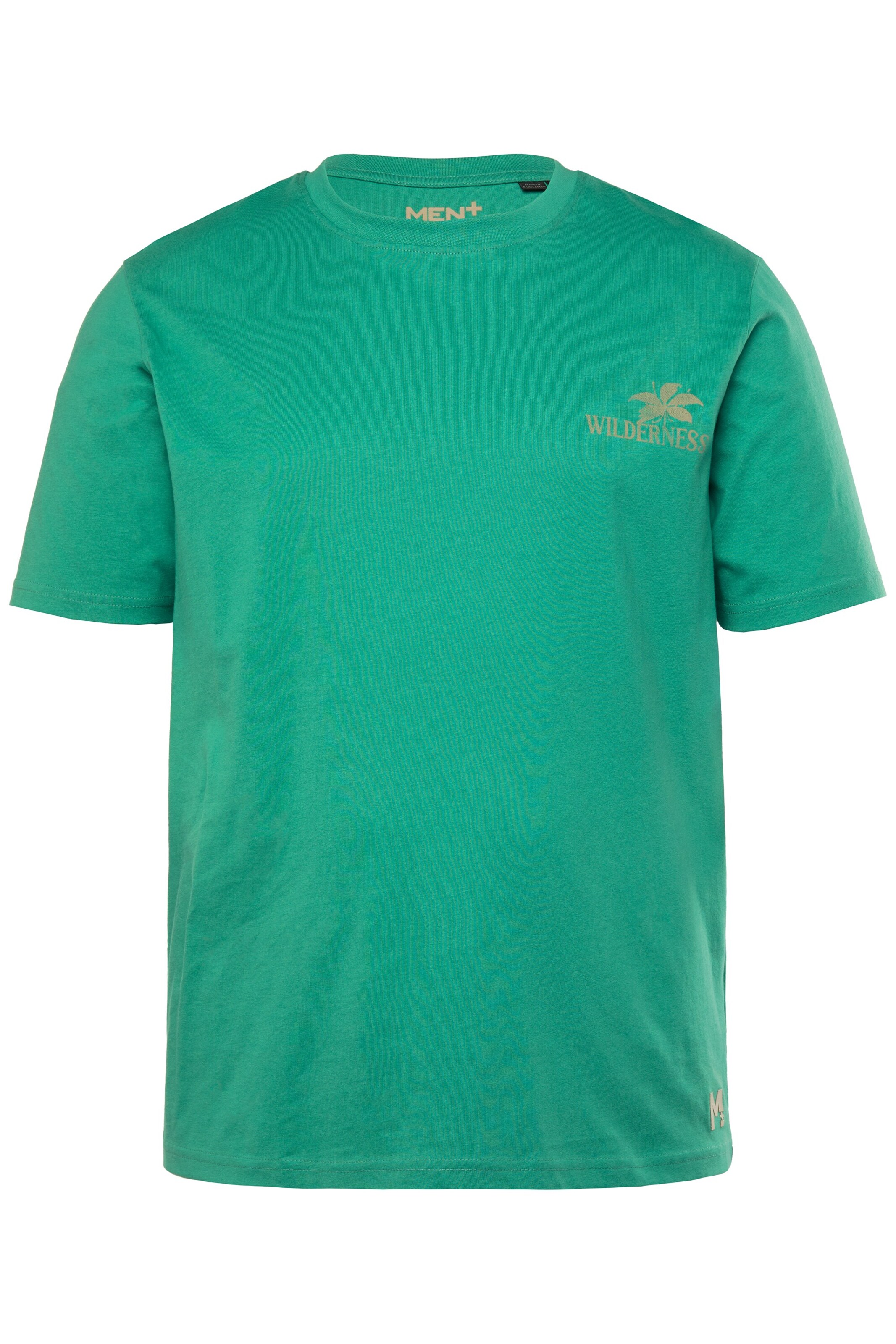 Men Plus Shirt in Green: front