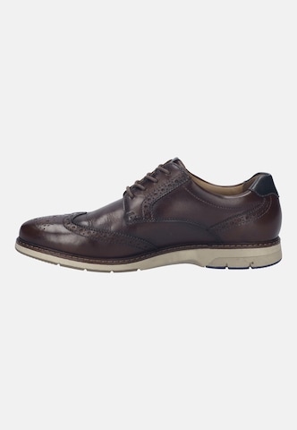 JOSEF SEIBEL Schnürschuh 'STUART 04' in Braun: Vorderseite