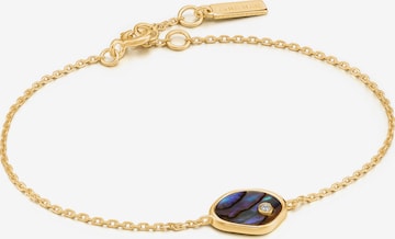 ANIA HAIE Bracelet in Gold: front