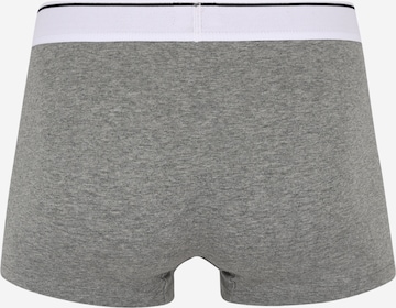 DIESEL Boxer shorts 'DAMIEN' in Grey