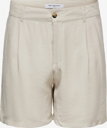 regular Pantaloni con pieghe 'Paris' di ONLY Carmakoma in grigio: frontale